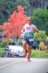 BIB: 8237
                            <button type="button" onclick="openModal(19240431)" class="btn btn-primary btn-sm float-right btn-popup" data-toggle="modal" data-target=".modal-high-quality">
                        <i class="fas fa-shopping-cart"></i> Add to Cart
                    </button>
                                            <button type="button" onclick="isThisMe(19240431, true)" class="btn btn-success btn-sm float-right btn-popup btn-isme hidden" data-toggle="tooltip" data-placement="bottom" title="นี่คือรูปของคุณใช่ไหม คลิกที่นี่เพื่อเอาเข้าอัลบั้ม">
                        <i class="fas fa-plus"></i> Add to album
                    </button>
                    <button type="button" onclick="isThisMe(19240431, false)" class="btn btn-warning btn-sm float-right btn-popup btn-isnotme hidden">
                        <i class="fas fa-ban"></i> Remove from album
                    </button>